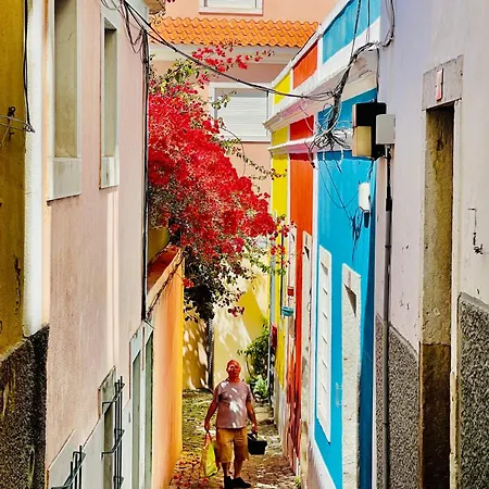 Paz 38 By Nook * Lizbona